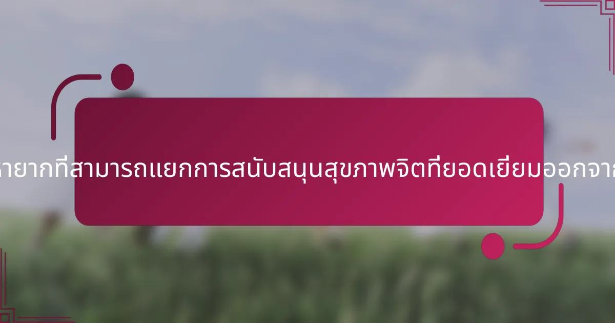 คุณสมบัติที่หายากที่สามารถแยกการสนับสนุนสุขภาพจิตที่ยอดเยี่ยมออกจากกันคืออะไร?